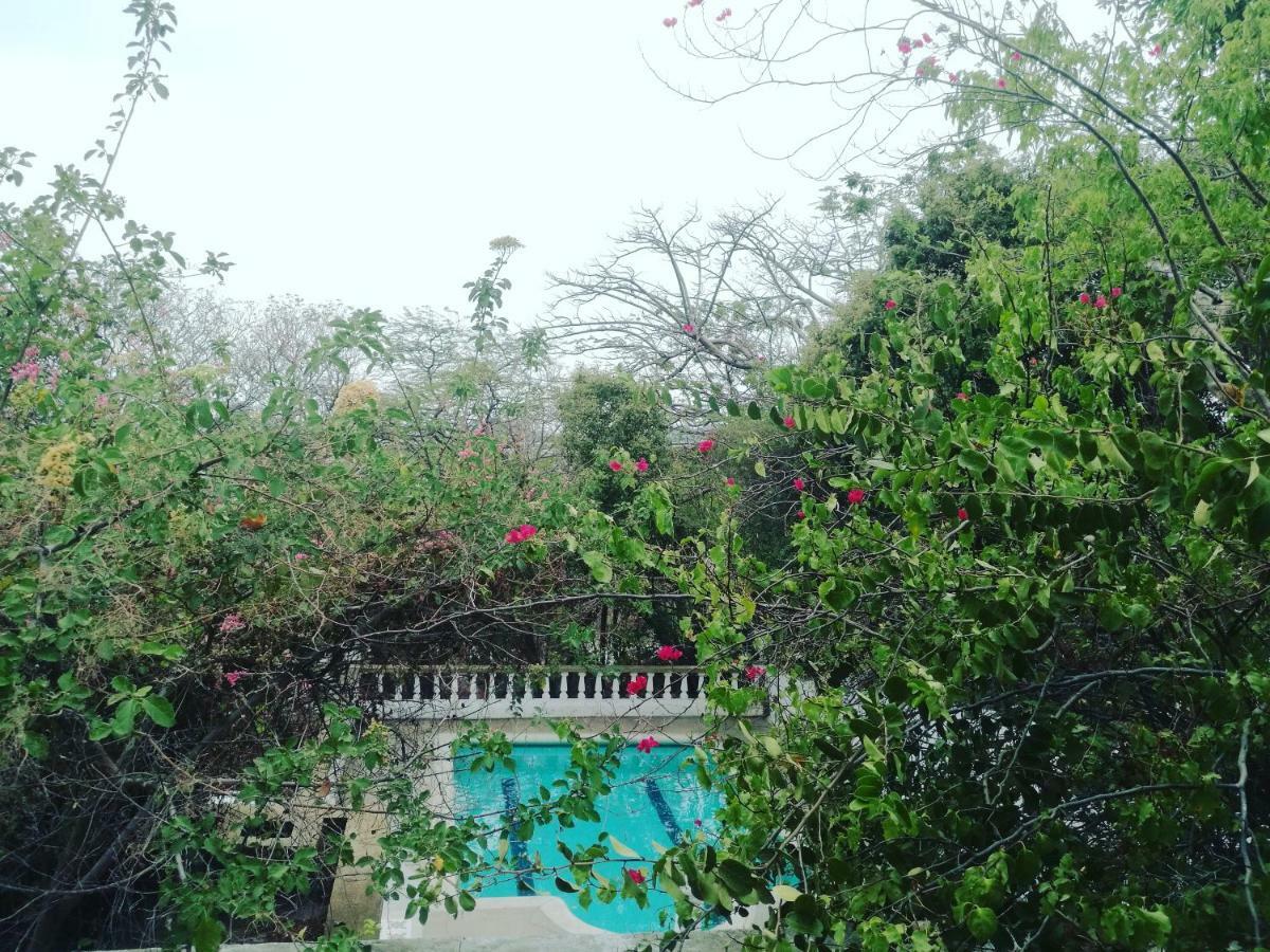 Jardin Etnobotanico Villa Ludovica 산타마르타 외부 사진
