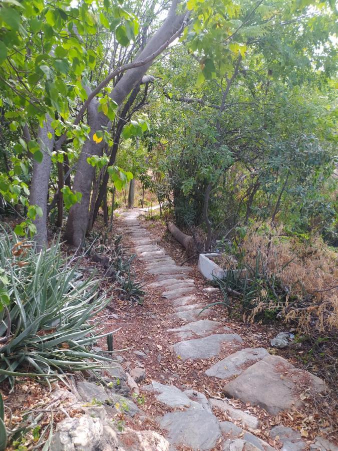 Jardin Etnobotanico Villa Ludovica 산타마르타 외부 사진